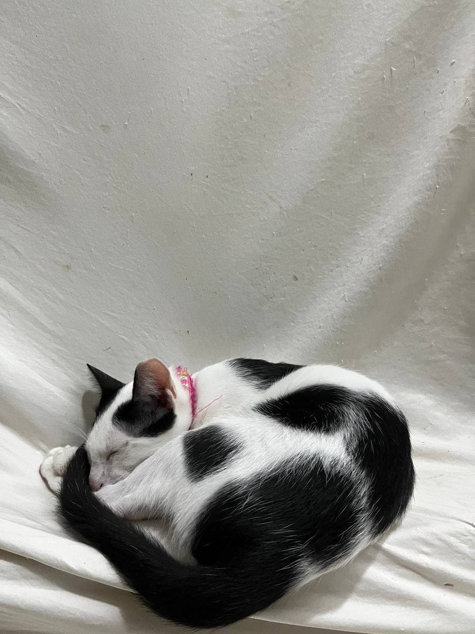 Deimos