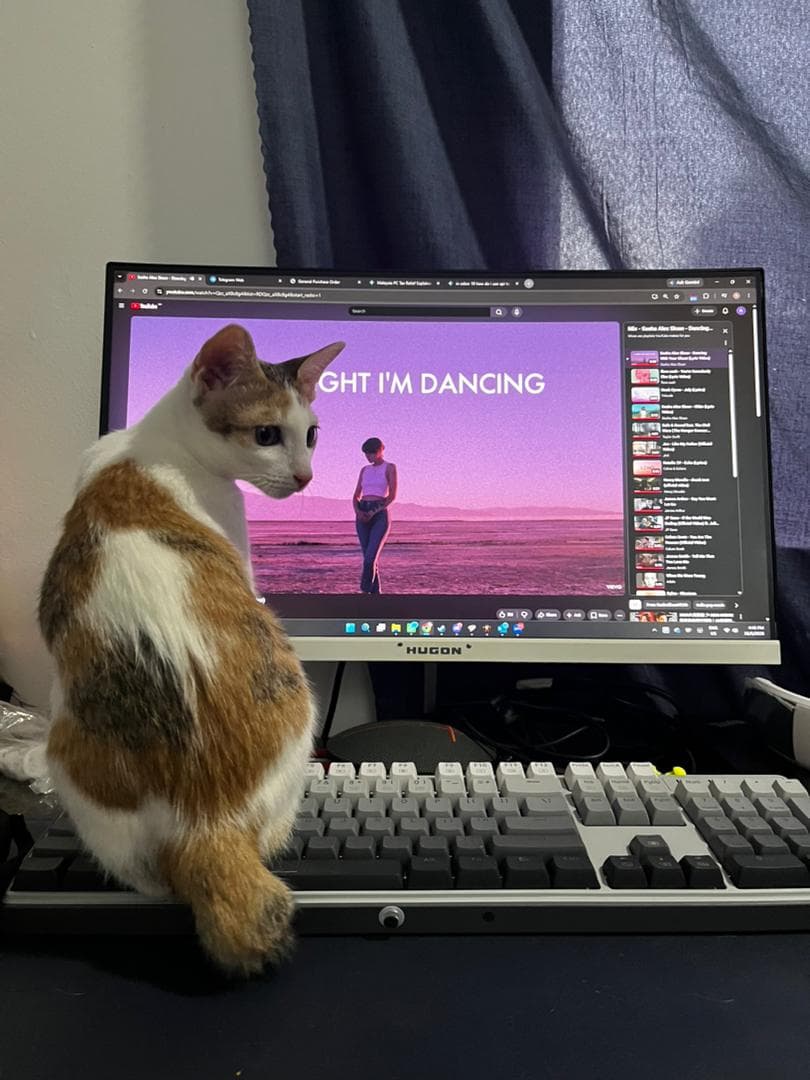 Biscuit